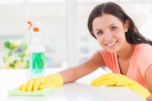 Cleaning a Marylebone flat for end of tenancy handover
