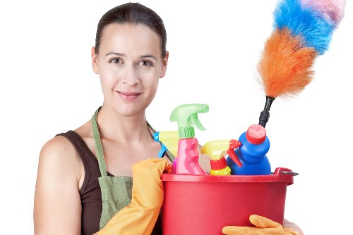 Professional pet stain odour removal for carpets in a Marylebone property