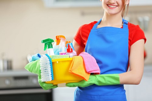 Bathroom cleaning service for a Marylebone flat