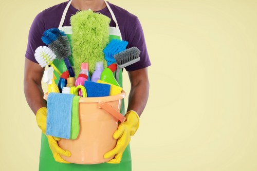 Gutter cleaning service for Marylebone homes and buildings