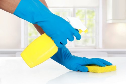 Mattress cleaning service for a Marylebone bedroom