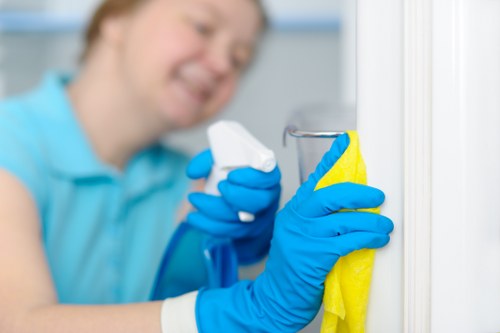 Professional sofa cleaning service in a Marylebone home