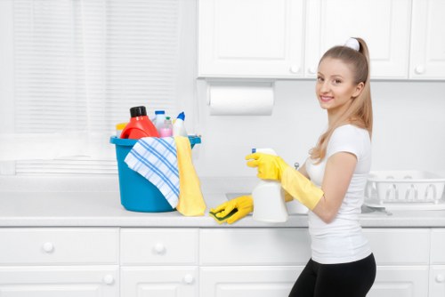 Cleaner Marylebone professional maintaining a polished interior