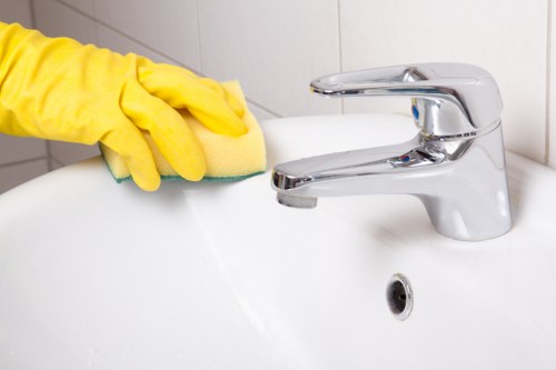Bathroom sanitising as part of a move in cleaning service in Marylebone