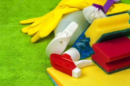 Residential and commercial gutter cleaning in Marylebone