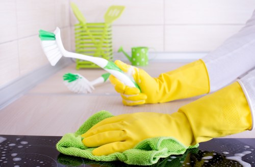 Deep carpet cleaning service for central London properties
