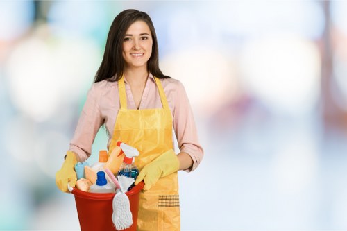Local cleaners working in a Marylebone period flat