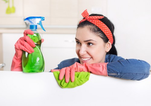 Clean and tidy kitchen as part of domestic cleaning in Marylebone