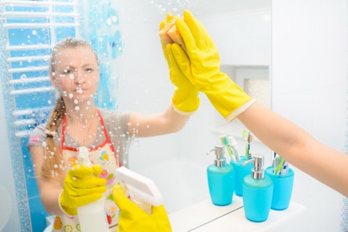 Professional deep cleaning in Marylebone focusing on bathroom descaling and sanitising