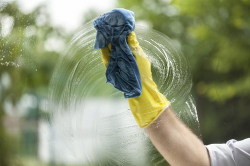 Careful stain removal process for delicate fabrics and upholstered furniture