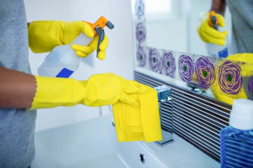 Marylebone cleaner working in a refined central London home