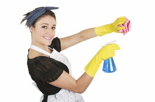 Careful residential window cleaning for Marylebone flats and mansion blocks